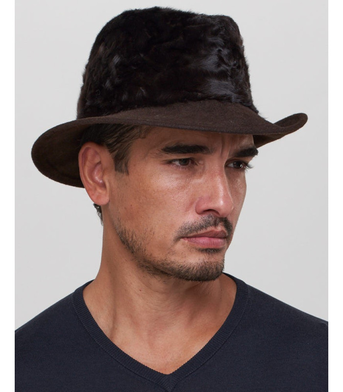 Drake Lamb's Fur Fedora Hat in Brown for Men